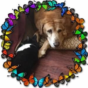 Meet your Posher, Tara